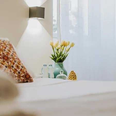 Гостевой дом Domus Cese 4*