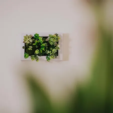 Domus Cese Гостевой дом Агридженто