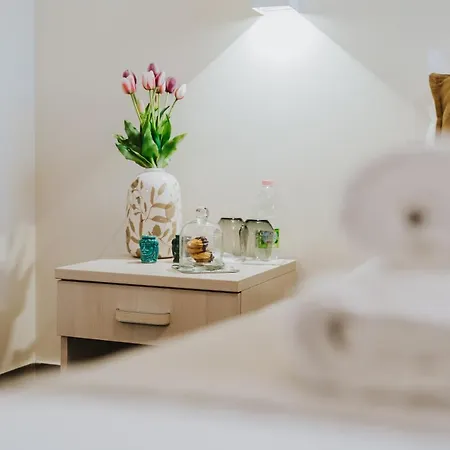 Domus Cese Gæstehus